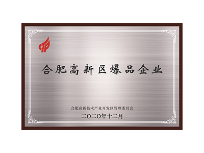 Popular enterprise in Hefei High-tech Zone