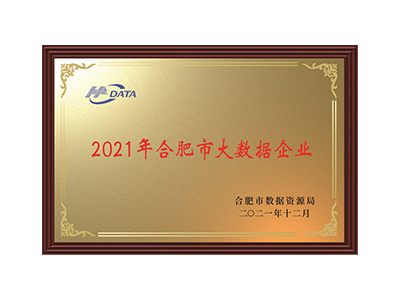 Big data enterprises in Hefei in 2021